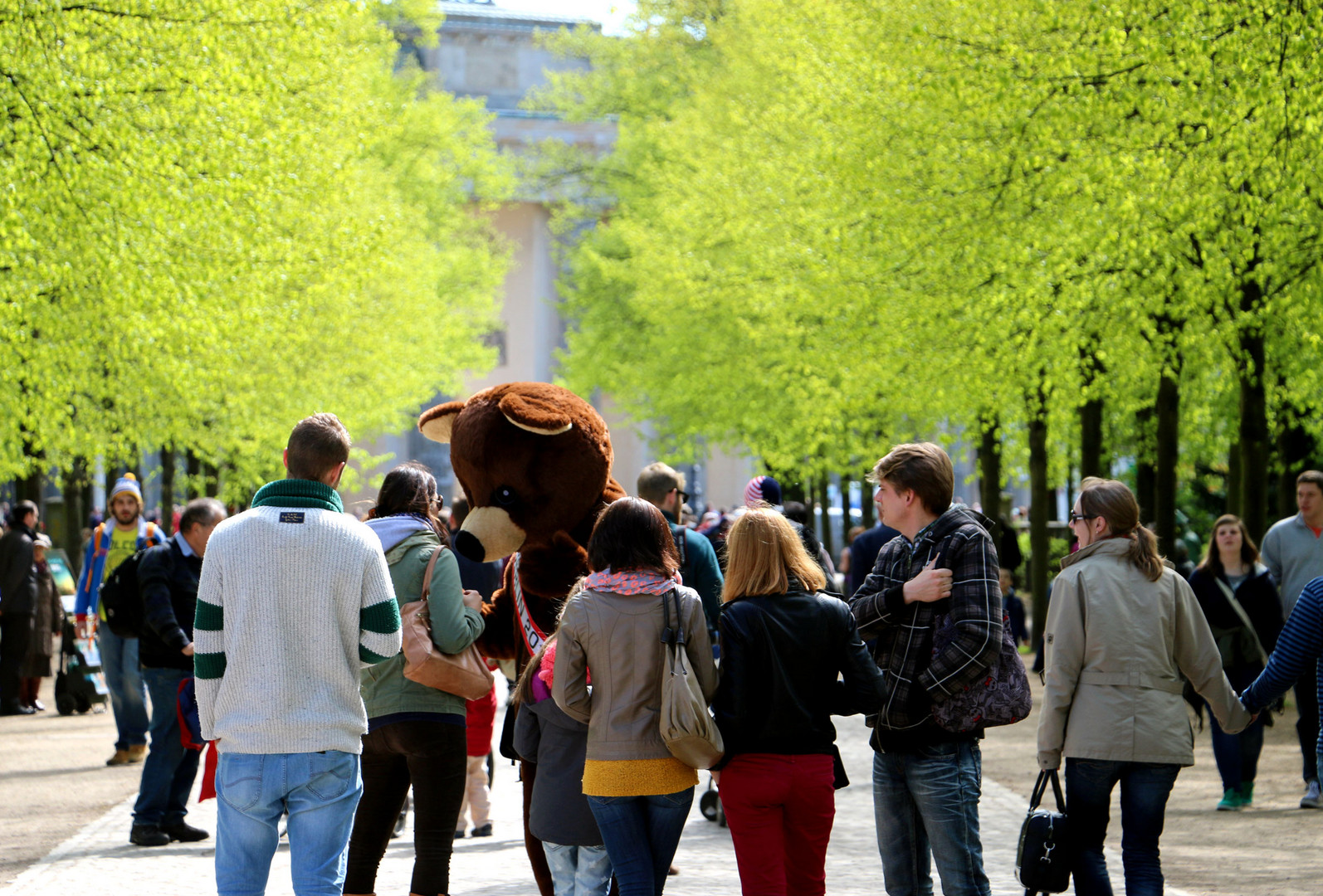 Berliner Bären beißen nicht