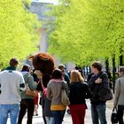 Berliner Bären beißen nicht