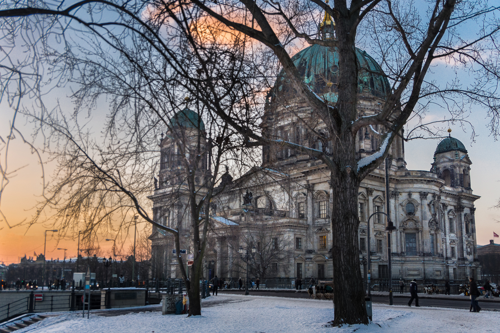 Berliner Baum und Berliner Dom