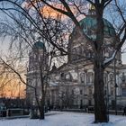 Berliner Baum und Berliner Dom