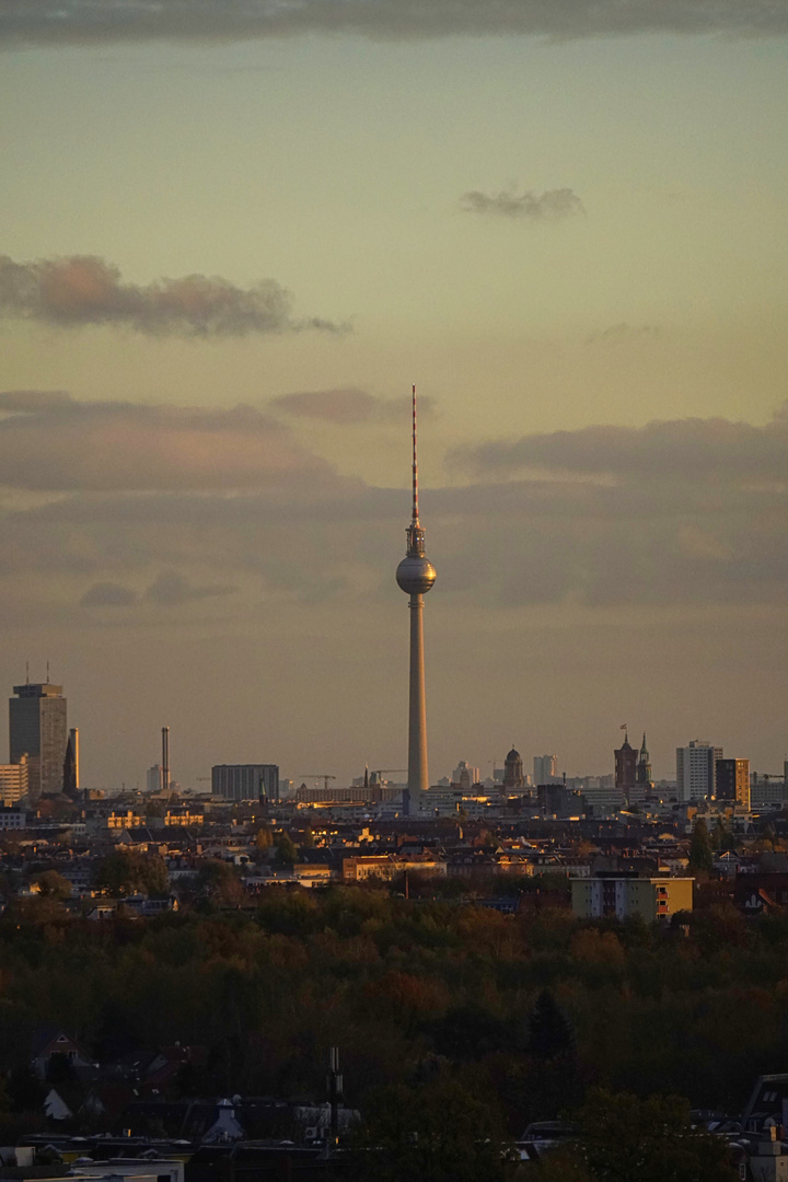 Berliner Dach