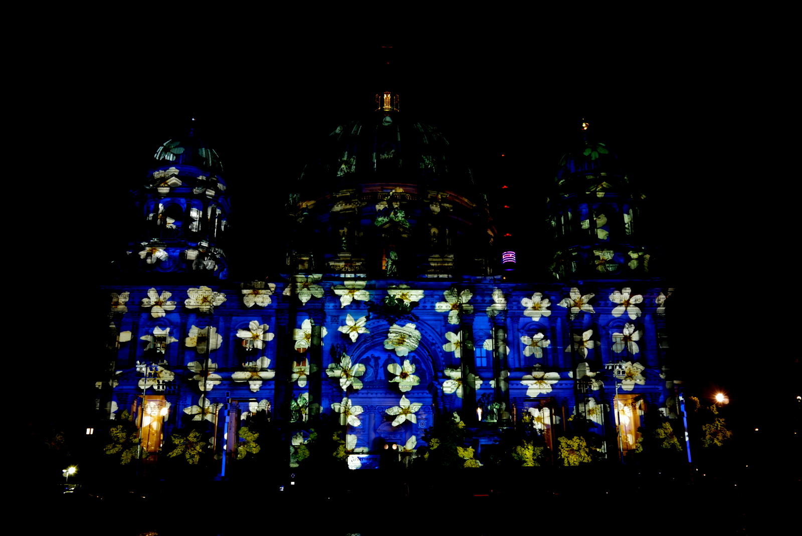 Berliner-Dom BluePlants