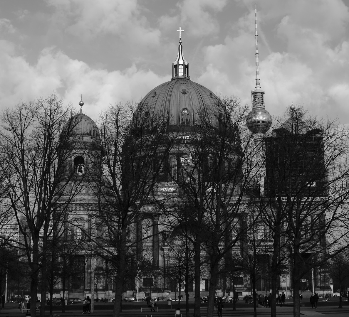 Berliner Dom hinter Bäumen