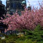 Berliner Dom im Frühling