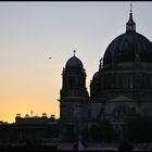 Berliner Dom im vorletzten Abendlicht
