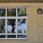 Berliner Fenster III: Grüner Ausblick