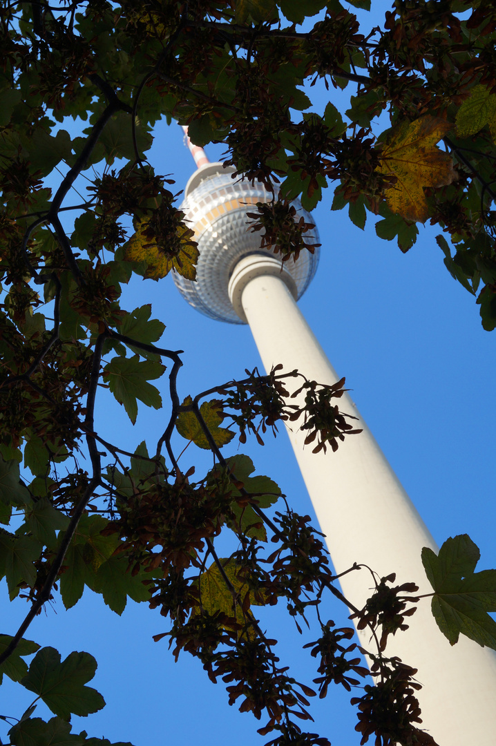 Berliner Fernsehturm