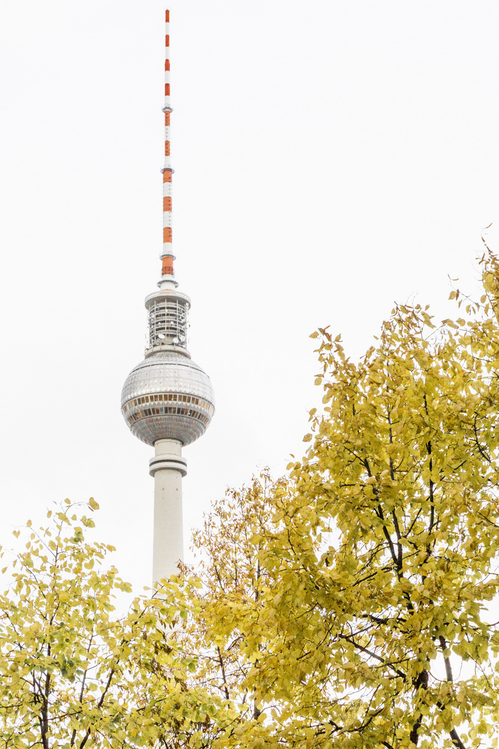 Berliner Fernsehturm im Herbst