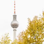 Berliner Fernsehturm im Herbst