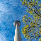 Berliner Fernsehturm umhüllt von prächtigen Farben