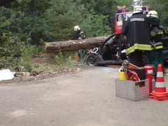 Berliner Feuerwehr: Baum im Auto