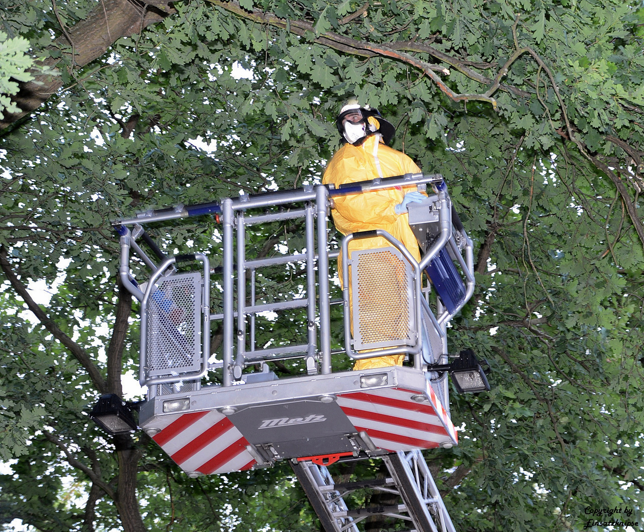 Berliner Feuerwehr: Im Kampf gegen die Raupen