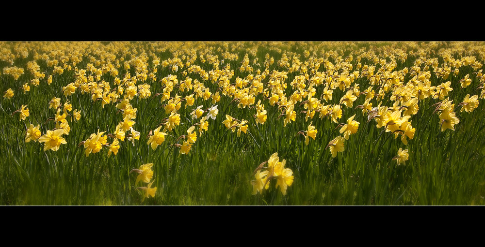 Berliner Frühlingslächeln