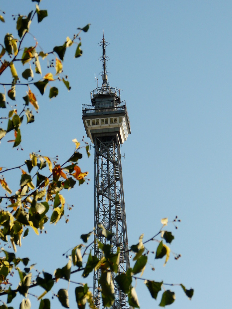 Berliner Funktum im Rahmen der Linde