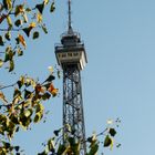 Berliner Funktum im Rahmen der Linde