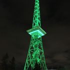 BERLINER FUNKTURM ZUR GRÜNEN WOCHE IN BERLIN 2017 