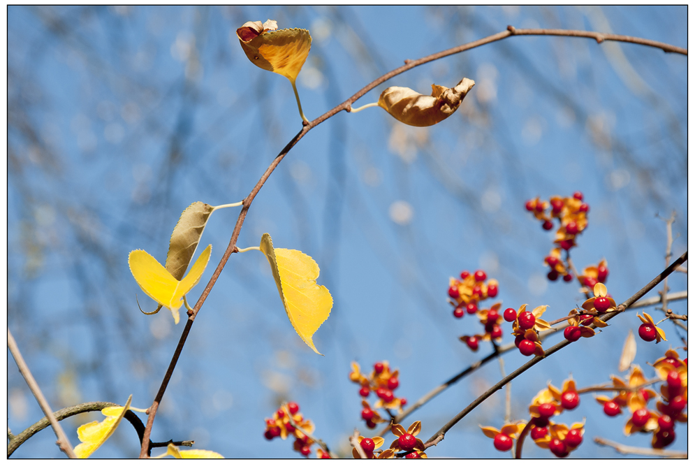 Berliner Herbst 2012