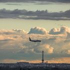 Berliner im Landanflug