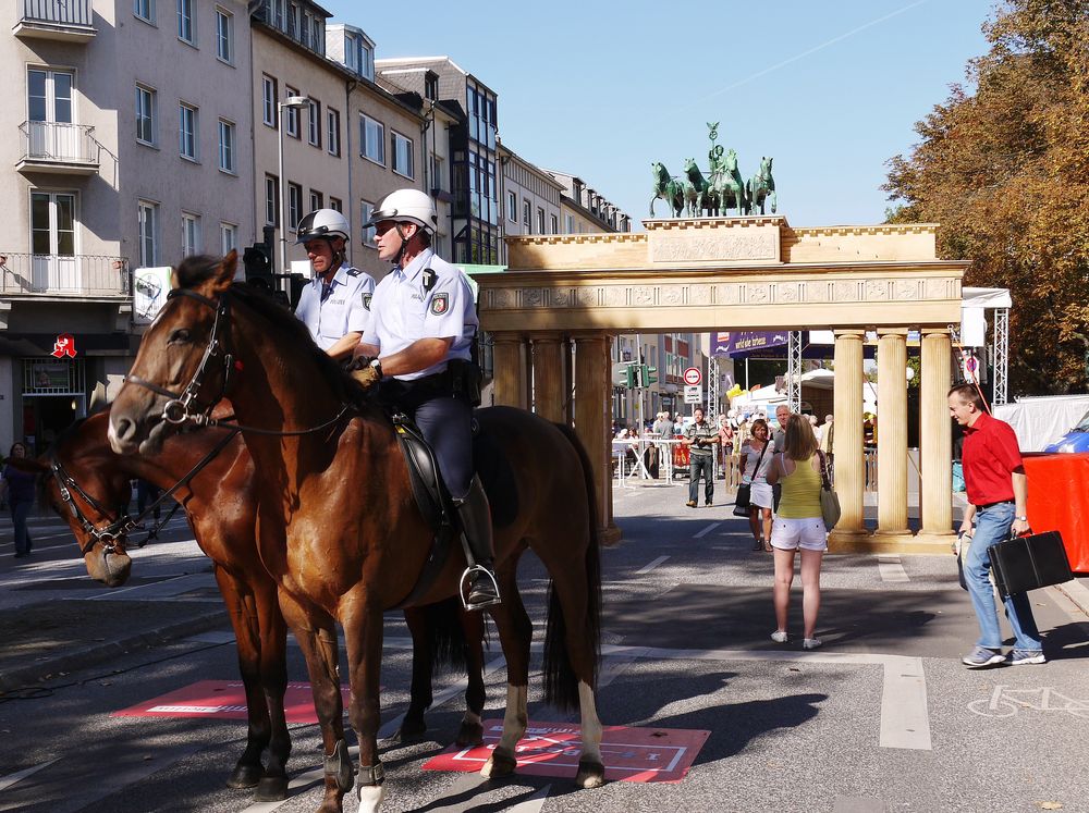 Berliner Landes - Vertretung