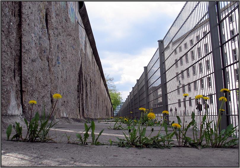 Berliner Mauer-Plümschen