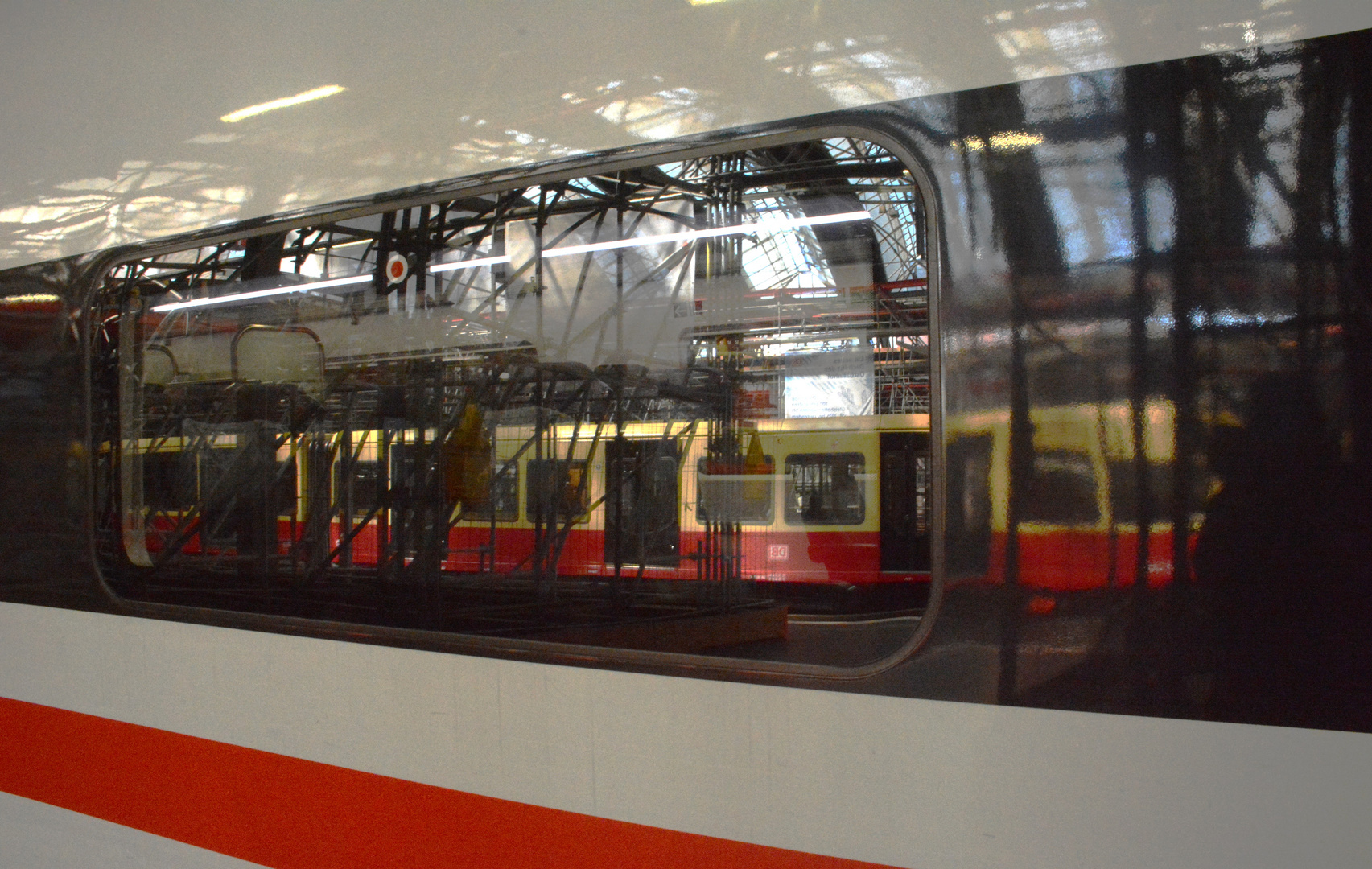 Berliner S-Bahn im Strebenwald (II)