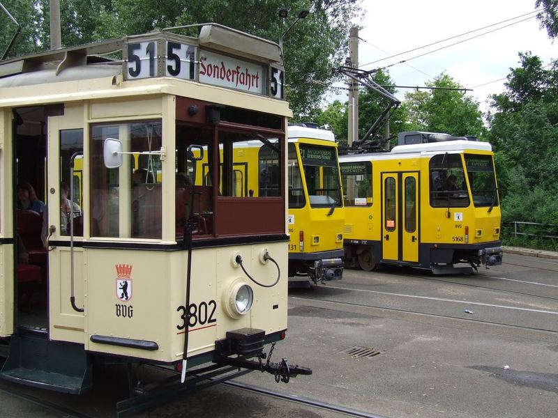 Berliner Schnauzen