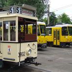 Berliner Schnauzen