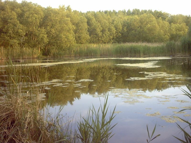 Berliner Schutzgebiet