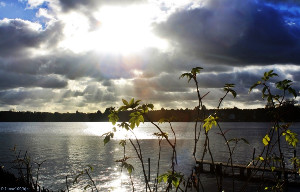 Berliner Seen-4- Dämeritzsee