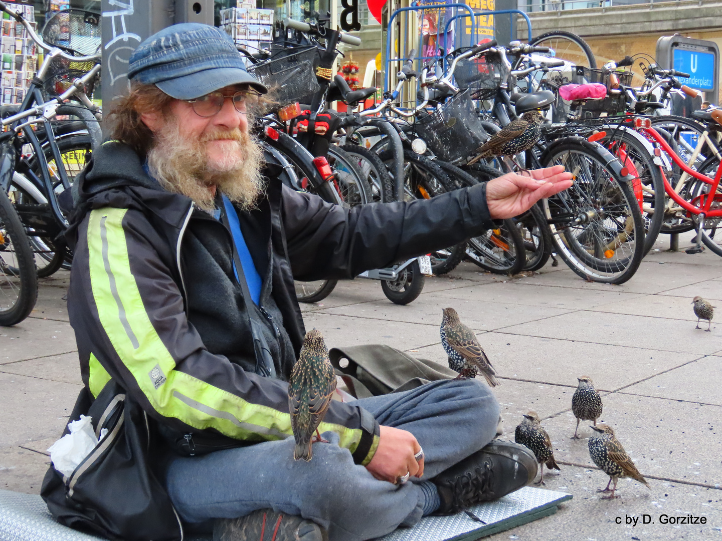 Berliner sind tierlieb !