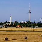 Berliner Skyline vom Tempelhofer Feld 