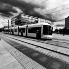 Berliner Straßenbahn