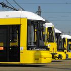 Berliner Straßenbahngesichter