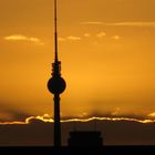 Berliner "Telespargel"