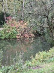 Berliner Tiergarten -2-