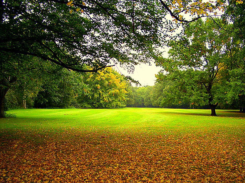 Berliner Tiergarten!