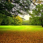 Berliner Tiergarten!