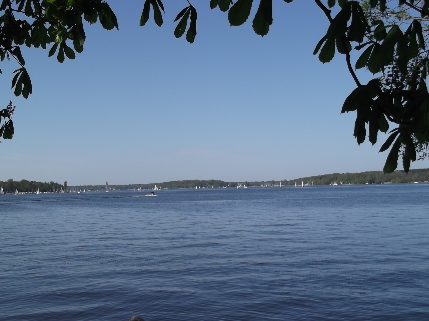 Berliner Wannsee