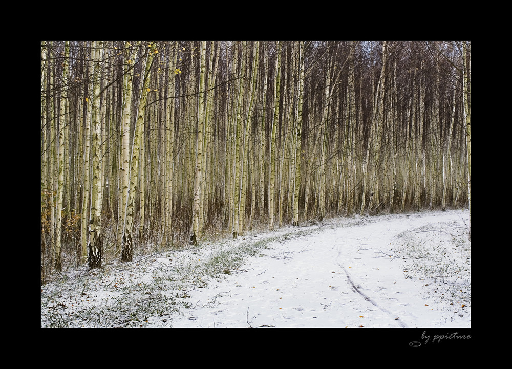 Berliner Winter I