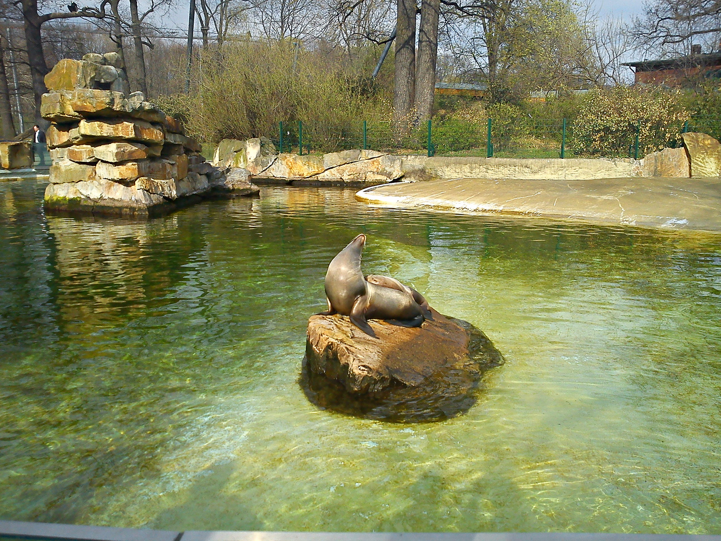 Berliner Zoo