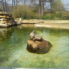 Berliner Zoo