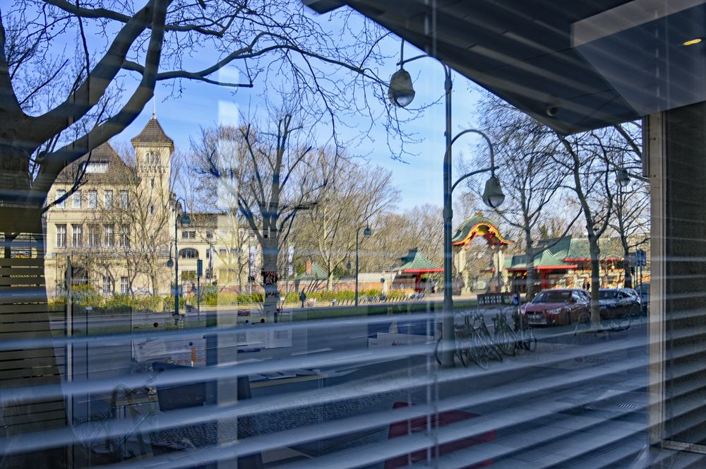 Berliner  Zoo im Spiegel