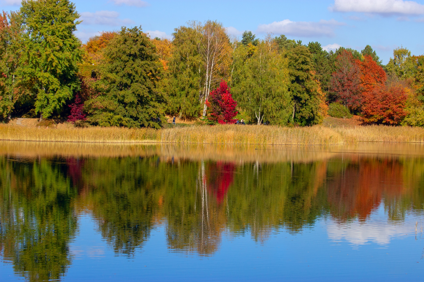 Berlin_Herbst im Britzer Garten