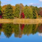 Berlin_Herbst im Britzer Garten