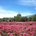 Berlino è una città verde