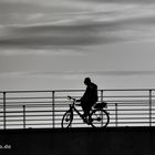 Berlin_Radfahrer