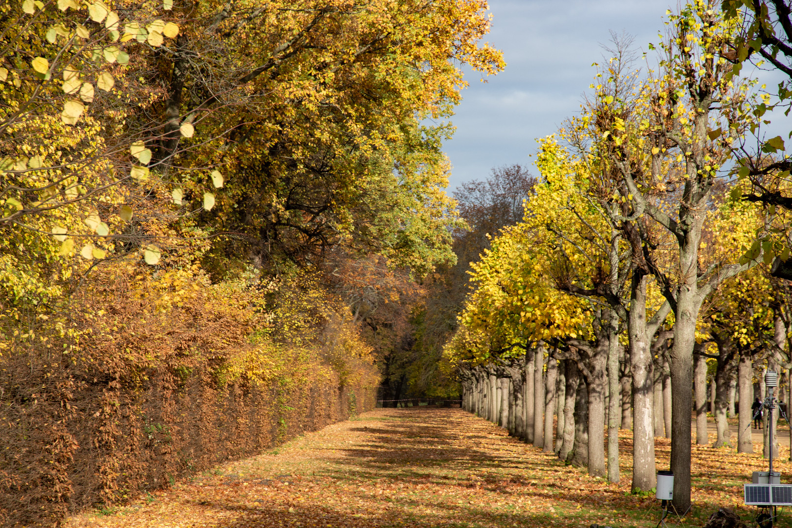 Berlin_Schloss_Charlottenburg_11 (36)