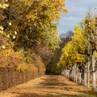 Berlin_Schloss_Charlottenburg_11 (36)