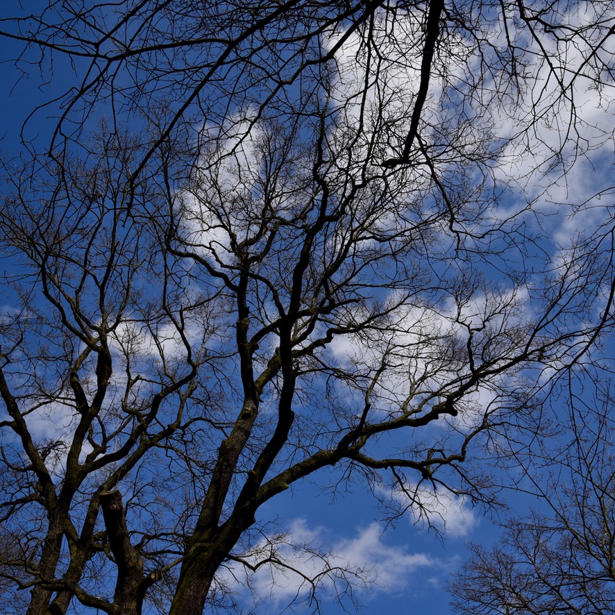 Berlin.Tierpark