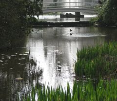 Berlioz-Anlage Baden-Baden